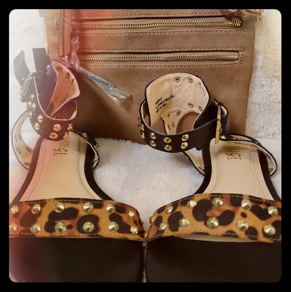 Set shoe and purses
